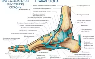 Чем вызвана боль в пятке при ходьбе после сна и как её устранить?