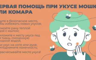 На прогулке укусила мошка и нога опухла: что делать и как снять опухоль?