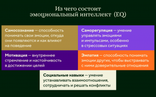 Эмоциональный интеллект и его роль в личной жизни