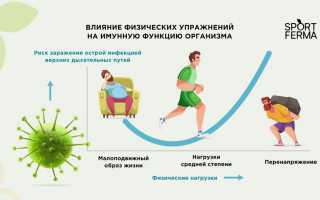 Влияние тренировок и спорта на иммунную систему