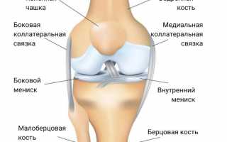 Причины и лечение хруста в коленях при приседании