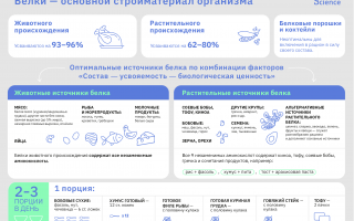 Белок: роль, источники и суточная норма