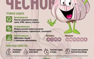 Чеснок против простуды и гриппа