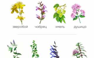 Фитотерапия для улучшения сна