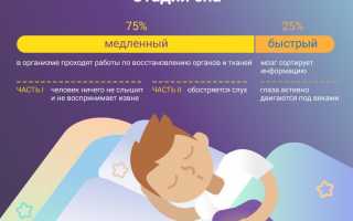 Регулярный сон как основа здоровья